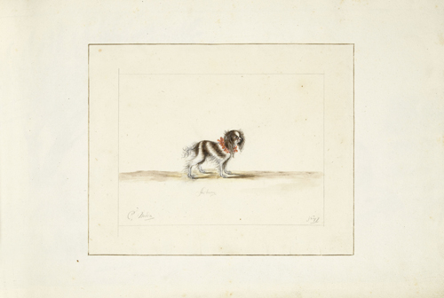 acteon (1679) anna cornelia moda 