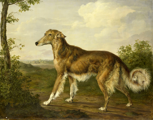 sibirski hrt (1825) jan dasveldt 