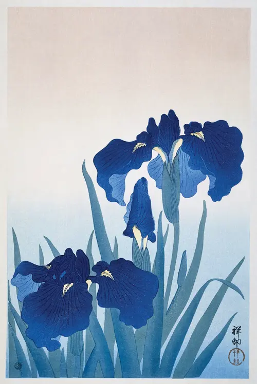 iris flowers ohara koson poster biljke japan ohara koson 