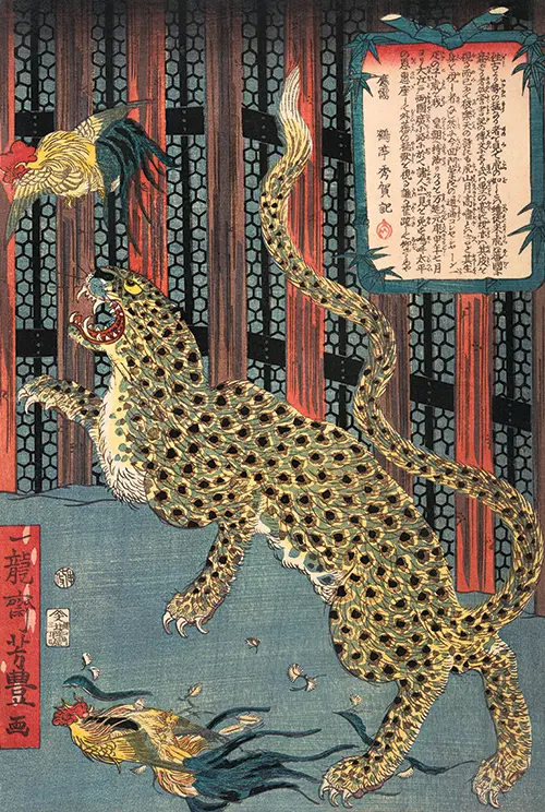 japanese tiger in a cage (1860) ichiryūsai yoshitoyo poster ichiryūsai yoshitoyo japan životinje 