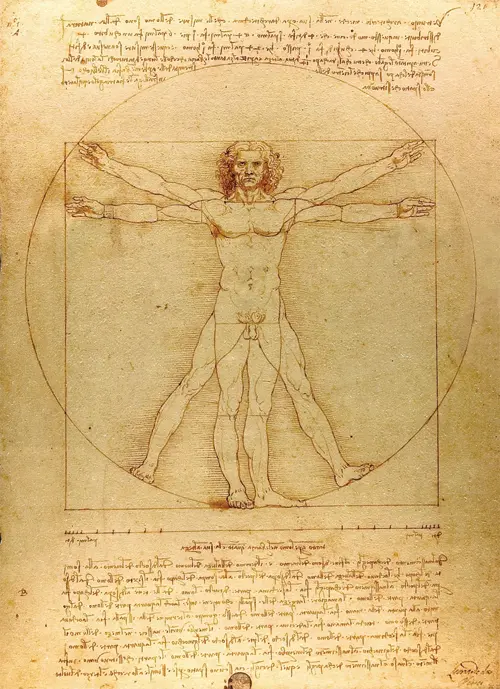 vitruvian man (1492) leonardo da vinci poster leonardo da vinči 