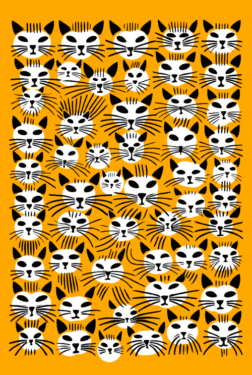 cats brkovi (oker)  