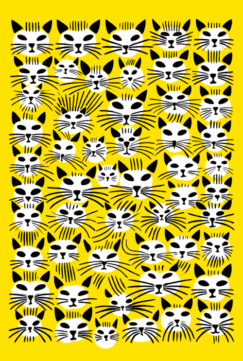 cats brkovi (žuto)  
