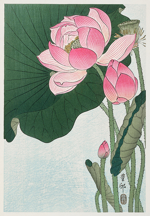 cvetovi lotosa (1920 1930) ohara koson 