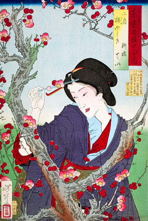 japanka pored drveta šljive (1880) taiso yoshitoshi 