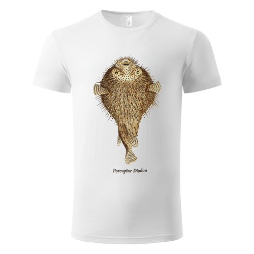porcupine diodon  