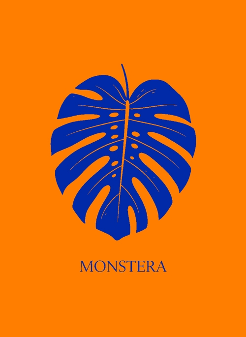 mostera (narandžasto plavo)  